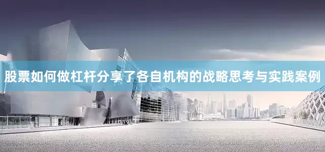 股票如何做杠杆分享了各自机构的战略思考与实践案例