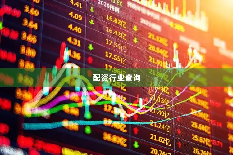 配资行业查询