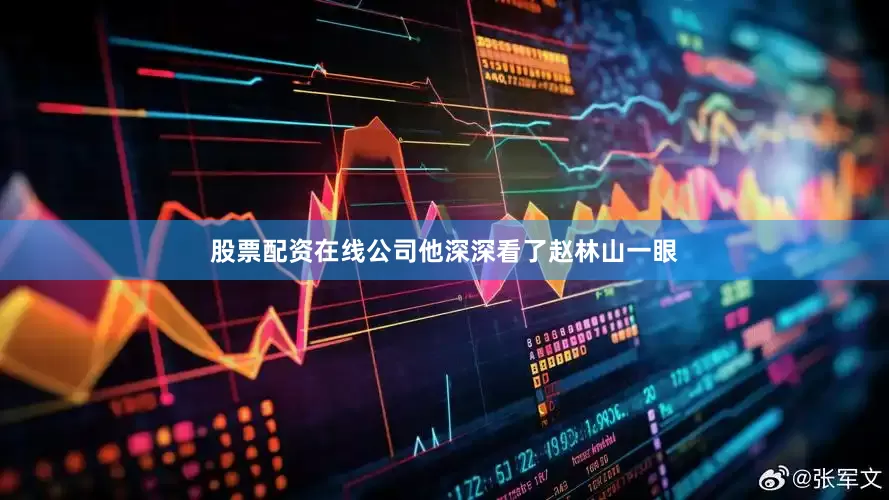 股票配资在线公司他深深看了赵林山一眼