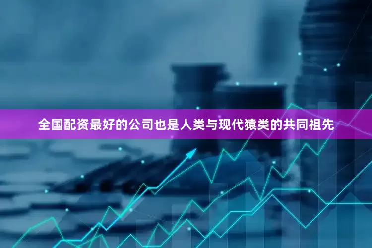 全国配资最好的公司也是人类与现代猿类的共同祖先